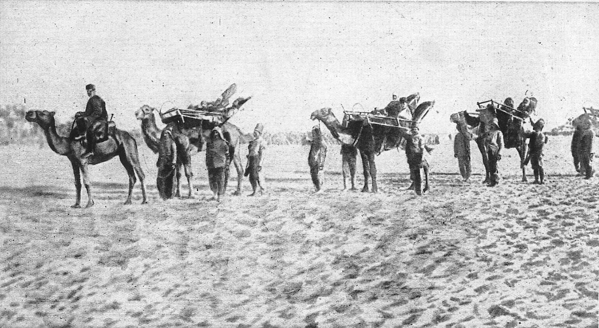 Turchi trasportano i propri feriti mentre si ritirano dopo la perdita di Gaza e di Jaffa [Le Miroir n. 210, 2 dicembre 1917]